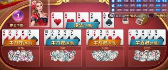 星空体育(china)官方网站 starrysky sports