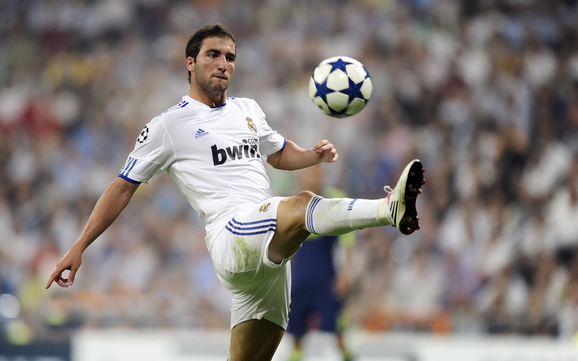 体育文化传播范围不断扩大